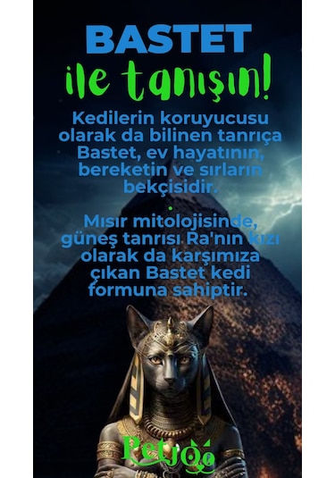 Petjoo 1.Bastet Yeşil-Mavi Qr'lı Kedi Künyesi