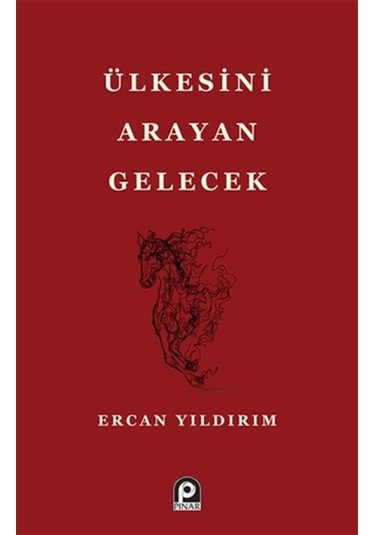 Ülkesini Arayan Gelecek - Ercan Yıldırım - Pınar Yayıncılık