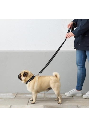 Lurvig Siyah Reflektörlü 32 Kg'a Kadar Köpekler İçin Tasma Kayışı