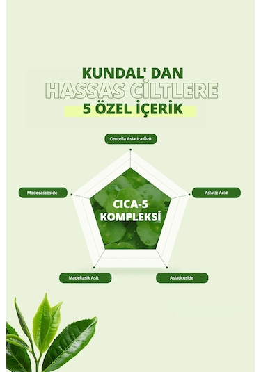 Kundal Apple Green Tea Tea Tree Biotics Body Mist 200 ML