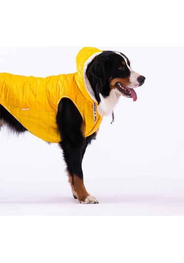Pawstar Sarı Railway Orta ve Büyük Irklar İçin Anorak Yelek Köpek Yeleği