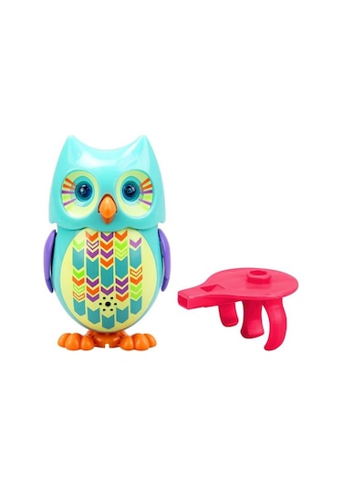 Mini Hoot Baykuş Asorti Turkuaz