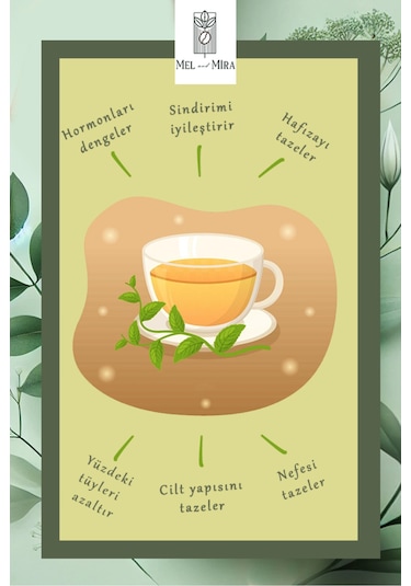 Premium Spearmint Tea Kıvırcık Nane 100g