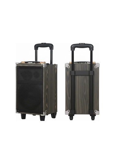 Hepu Hp-904 Partybox Bluetooth Hoparlör 12 Woofer 40w Güç 1 Kablosuz Mikrofon Kumanda