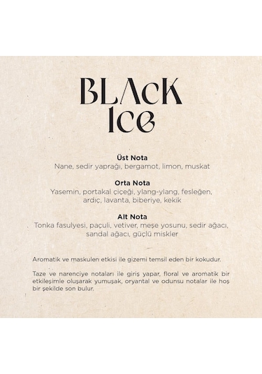 Carpex Black Ice E2 Power Koku Kartuşu 125 ML