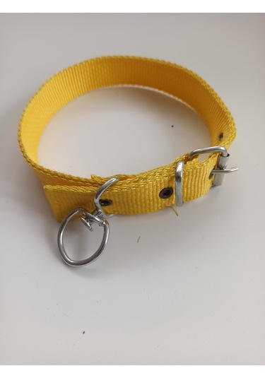 Kozaklı Orta Irk Köpek Tasması Sarı 60 x 3 CM