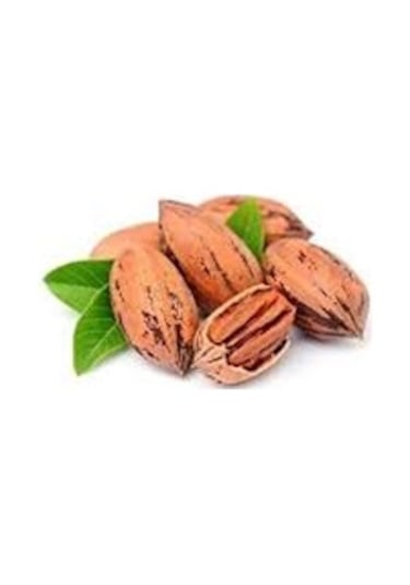 Pikan Cevizi 1 KG