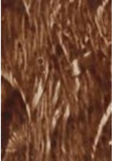 Cadence Eskitme Boyası 120Ml - 302 Kahverengi