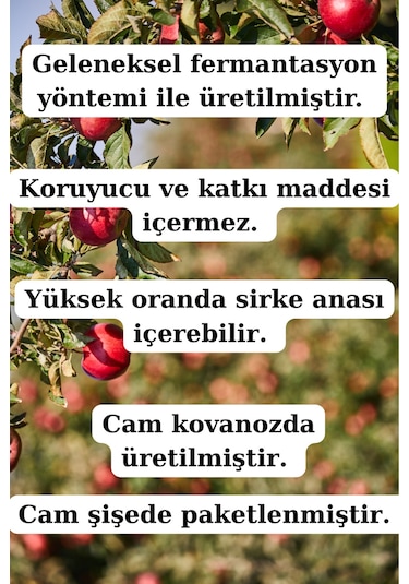 Alıç Sirkesi Ve Elma Sirkesi 250 Ml + 250 Ml - Doğal Fermente