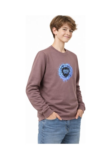 Baglan Erkek Çocuk Ön Arka Baskılı Sweatshirt Bgl-st05230 Vizon