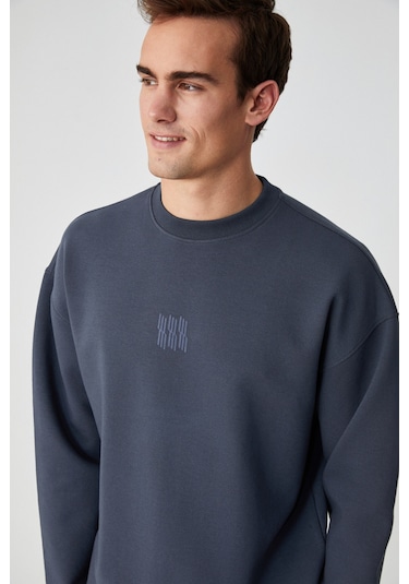 PLEMON Erkek Bisiklet Yaka Uzun Kol Baskı Detaylı Oversize Gri Sweatshirt