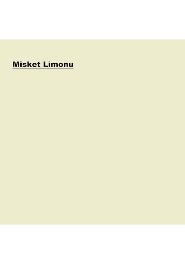 Marshall Luksima Silikonlu Özel Mat Boyası Misket Limonu 15l 15 L