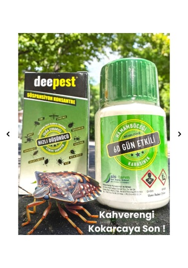 Ordu Mega Tarım Deepest 3 Adet Ev Içinde Kullanılan Kahverengi Kokarca Ve Tüm Haşereler Için Kokusuz Böcek Ilacı