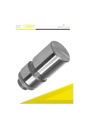 Ganz Ford Fiesta, Escort, Chery Amulet İçin Su Emici Valf 271179666