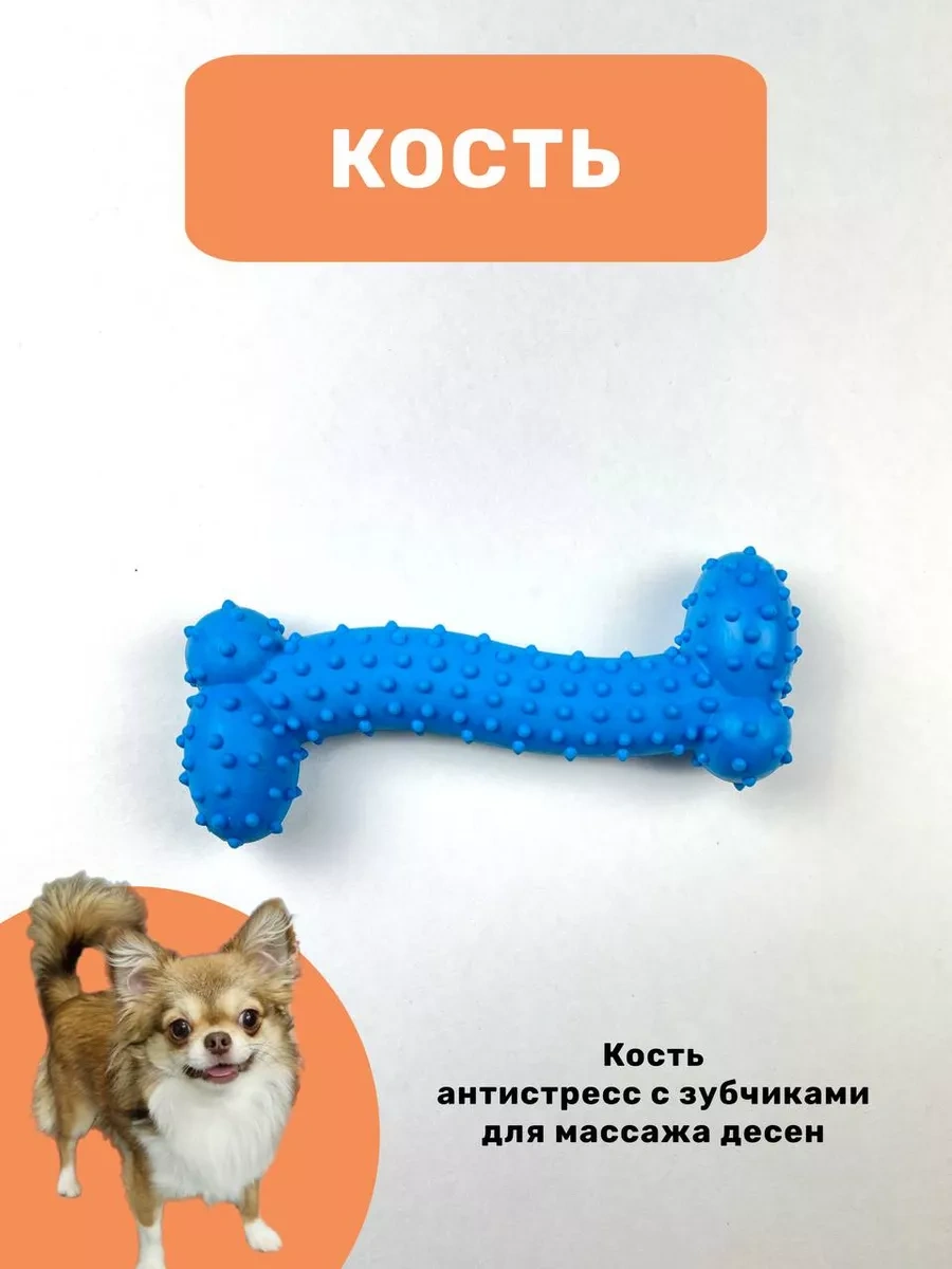 Freedsy Küçük Irk Köpekler Ve Yavru Köpekler İçin Oyuncaklar 183955454