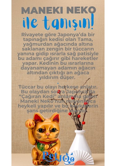 Petjoo 4.Maneki Neko Mavi-Gri Qr'lı Kedi Künyesi