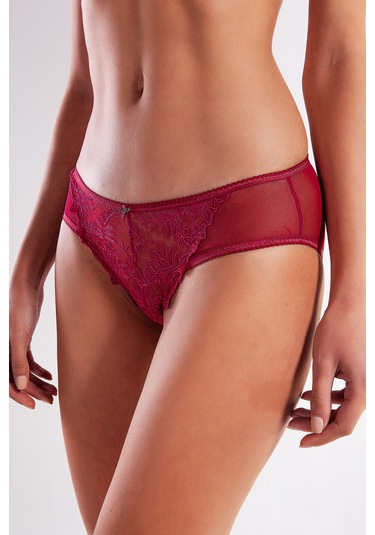 Golshan Gaspara Mini Slip, Kadın Güpürlü Tüllü Şarap Renkli Normal Kesim Külot Çok Renkli
