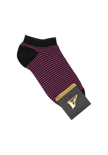 5'Li Paket Siyah Üzeri Renkli Çizgili Kadın Patik Çorap Siyah