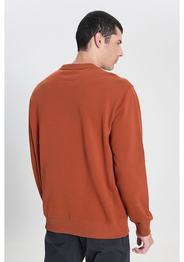 Regular Fit Normal Kesim Bisiklet Yaka Pamuk Tarçın Sweatshirt L81IRY970 Tarçın