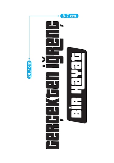 Gerçekten İğrenç Bir Hayat Araç Sticker 21x29 Cm, Oto Sticker, Araba Sticker