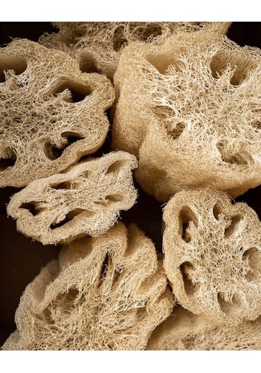 Pureal Kabak Lifi Sünger