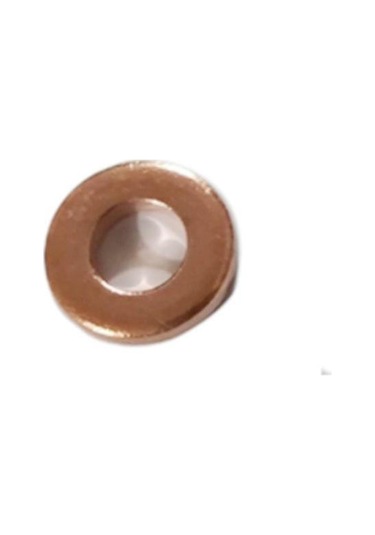 Ssangyong Rexton Kyron Stavic Actyon İçin 10 Adet Enjektör Yıkayıcı