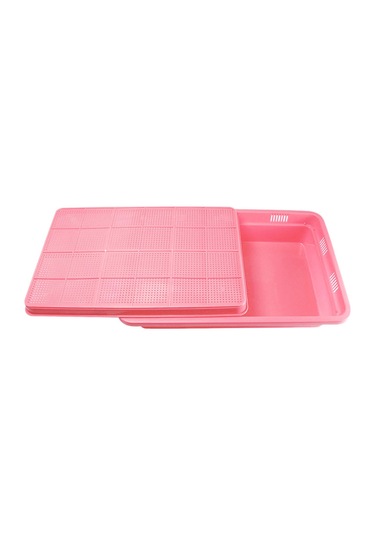 Suntek Tohum Filizleme Tepsisi 2 Katmanlı Mikro Yeşiller Pembe