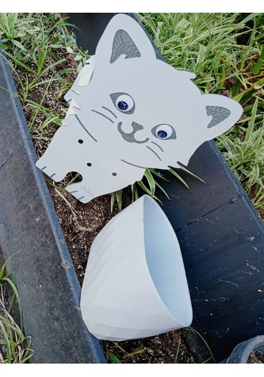 Kedi Saksı Saksı Hediyeli