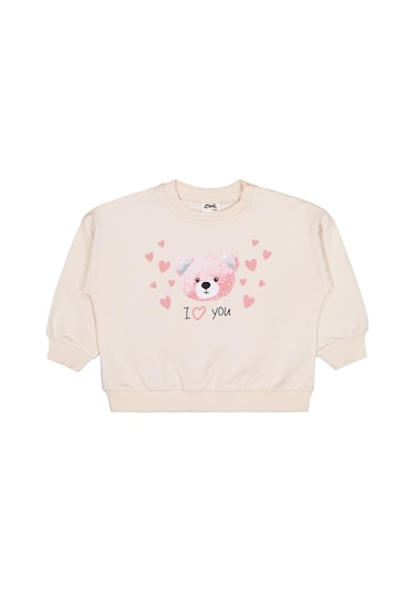 Civil Baby Ayıcık Baskılı 3'lü Set 6-18 Ay Sweatshirt - Standart