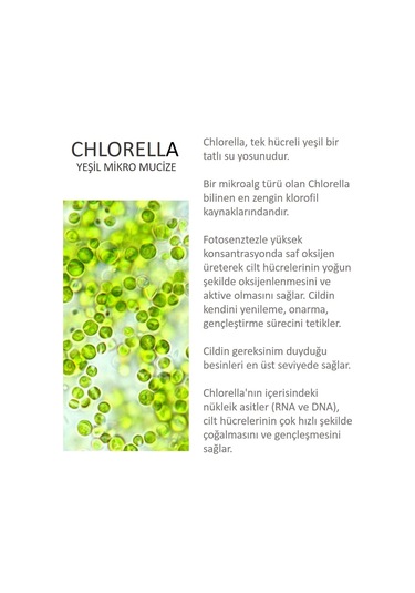 Jomtam Chlorella Mikroalgli Oksijen Göz Bakım Kremi 10 G