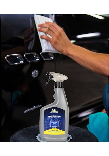 Michelin MC31968 Sulu Sprey Cila 650 ML
