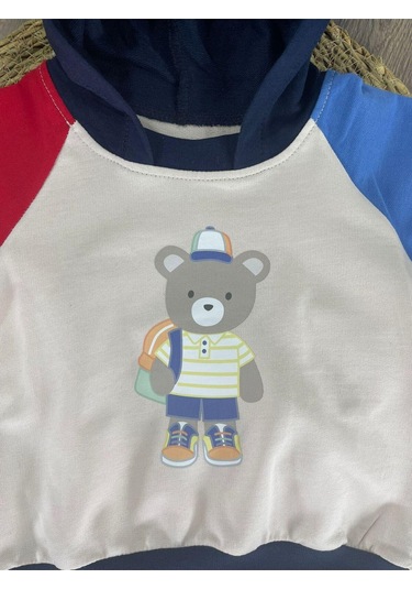 Teddy Ayıcık Baskılı Kapüşonlu Renkli Kol Detaylı Erkek Bebek Takım Açık Lacivert