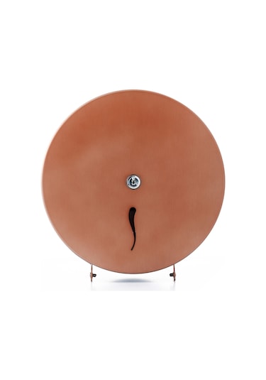 ARGESAN-Paslanmaz Çelik Jumbo Tuvalet Kağıtlığı MINI Q22 cm-ROSE