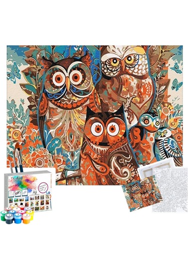 Sayılarla Boyama Seti 40 X 50 Cm Tuval Şasesine Gerili Baykuşlar