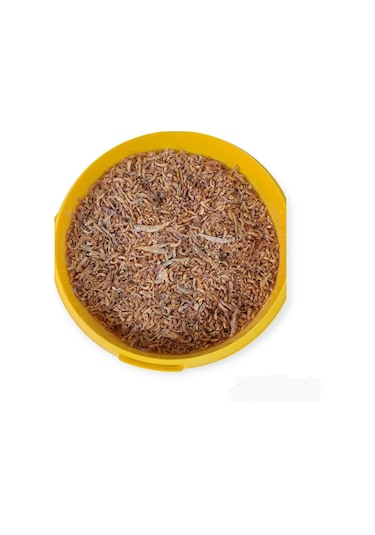 Gammarus Kurutulmuş Karides ve Balık Kaplumbağa Yemi 100 G