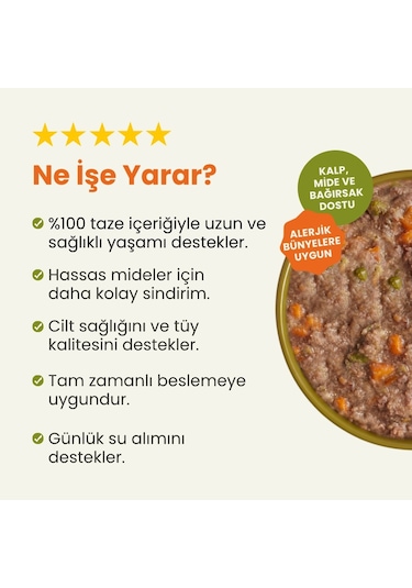 Kito Fresh Köpek Yemeği Tanışma Paketi 6'lı