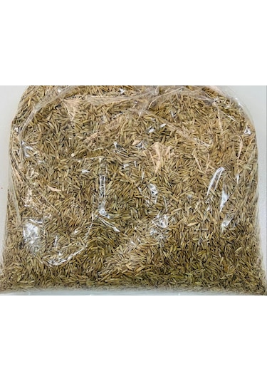 Firba İtalyan Çimi, Süt Otu, RyeGRass, Rey GRass, Obelix 1 KG