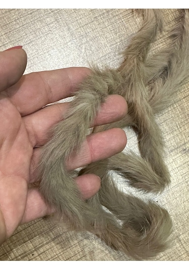 1.40 Cm Peluş Süt Kahve Şerit Dikiş Giyim Aksesuarı