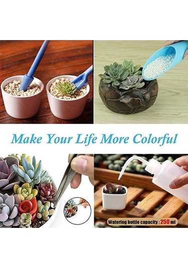 Pazly 14 Parça Sukulent Ekim Seti, Bahçe Peyzaj Ve Çiçek Dikim Araçları, Mavi