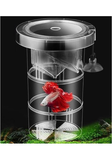 Homyl Damızlık Kutusu Akvaryum Akrilik Balık Tankı