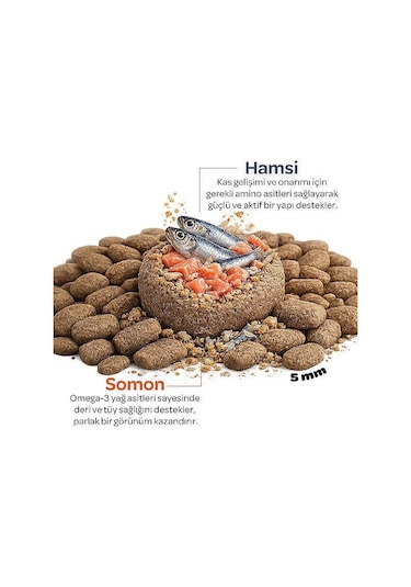 Obivan Somonlu Ve Hamsili Yetişkin Kedi Maması 2 Kg