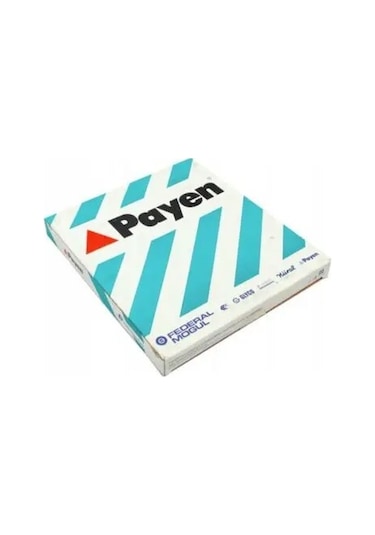 Payen Ah6590 Silindir Kapak Contasi 0209ag 2s6q6051da