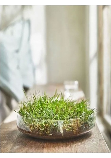 Hedersam Bardakta Çimen Kokulu Mum Açık Yeşil 20 Saat Açık Yeşil