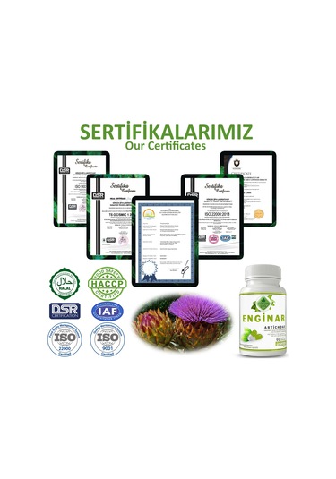Gökçek Şifa 1000 MG Enginar (Artichoke Capsule) 60 Kapsül