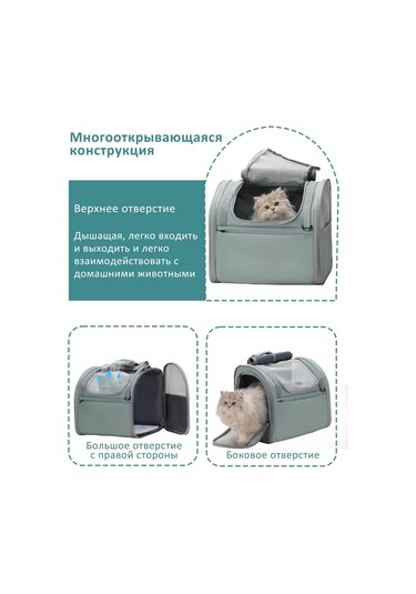 Pawdle Kedi Ve Köpekler İçin Taşıma Sırt Çantası 293925152