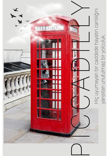 Jack London Piccadilly Erkek Parfüm EDT 50 ML