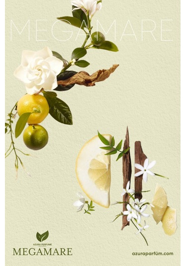 Azura Prestige Niche Megamare Unisex Parfüm EDP 100 ML