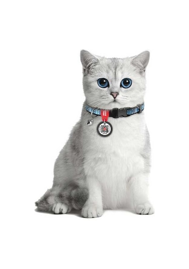 Collar Qr Pasaportlu Ethno Kedi Boyun Tasması Çok Renkli 20-30 CM