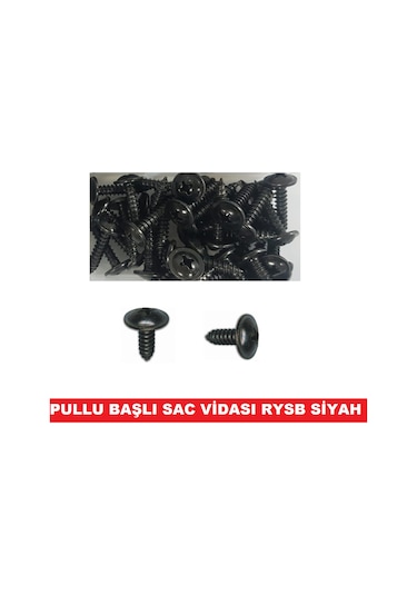 Sac Vidası Rysb Pullu Başlı 2.9x9.5mm 50 ADET