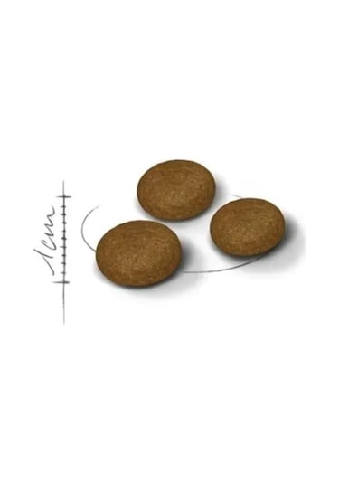 Royal Canin Fussy Exigent Seçici Yetişkin Kedi Maması 2 Kg